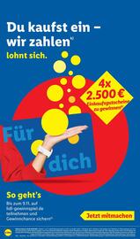 Lidl Prospekt woche 40 Seite 66