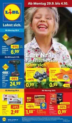 Lidl Prospekt (gültig bis 4-10)