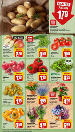REWE Prospekt woche 39 Seite 11