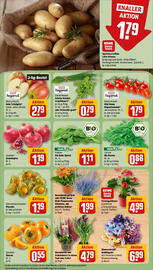REWE Prospekt woche 39 Seite 11