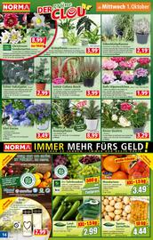 Norma Prospekt woche 40 Seite 14