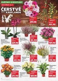 Kaufland leták týden 39 Strana 12