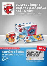 Kaufland leták týden 39 Strana 8