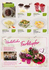 Dornseifer Prospekt woche 39 Seite 8