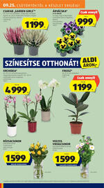 ALDI akciós újság hét 39 Oldal 8