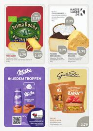 Edeka Struve Prospekt woche 39 Seite 14