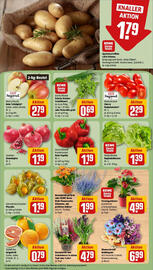 REWE Prospekt woche 39 Seite 11