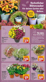 REWE Prospekt woche 39 Seite 12