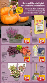 REWE Prospekt woche 39 Seite 15