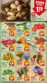 REWE Prospekt woche 39 Seite 11