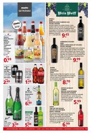 Multi Markt Prospekt woche 39 Seite 13