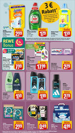 REWE Prospekt woche 39 Seite 23