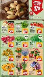 REWE Prospekt woche 39 Seite 5