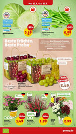PENNY Prospekt woche 39 Seite 3