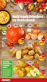 PENNY Prospekt woche 39 Seite 4