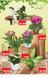 Catalog Kaufland săptămâna 39 Pagină 16