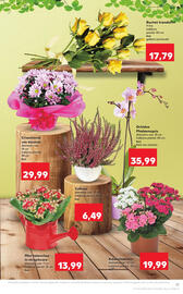 Catalog Kaufland săptămâna 39 Pagină 17