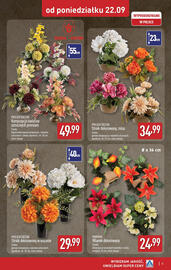 ALDI gazetka tydzień 39 Strona 5