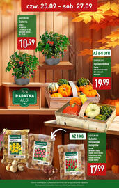 ALDI gazetka Strona 2
