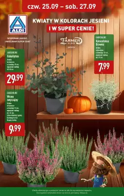 ALDI gazetka (ważność do 27-09)
