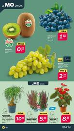 NETTO Prospekt woche 40 Seite 2
