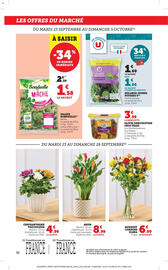 Catalogue Bi1 page 36
