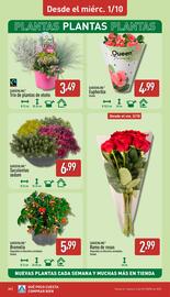 Folleto ALDI semana 40 Página 20