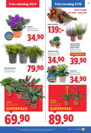 Lidl reklamblad vecka 40 Sida 19