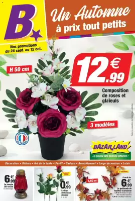 Catalogue Bazarland