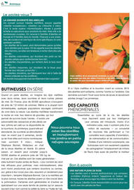 Catalogue Mr Bricolage page 94