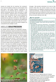Catalogue Mr Bricolage page 95