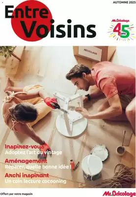 Catalogue Mr Bricolage (valable jusqu'au 15-11)
