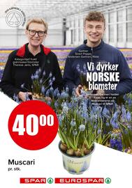 Eurospar kundeavis Side 14