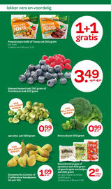 Spar folder Pagina 9