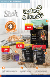 Volantino ALDI settimana 40 Pagina 22