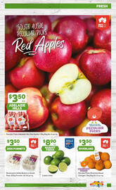 Foodland catalogue Page 7