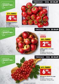 Biedronka gazetka tydzień 39 Strona 3