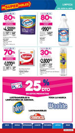 Catálogo La Anonima Página 29