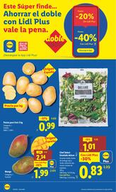 Catálogo Lidl semana 40 Página 12