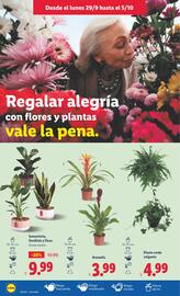 Catálogo Lidl semana 40 Página 28