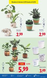 Catálogo Lidl semana 40 Página 29