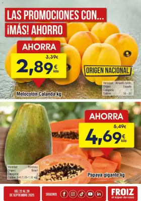 Folleto FROIZ (válido hasta el 28-09)