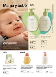 Catálogo Natura Página 135