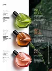 Catálogo Natura Página 17