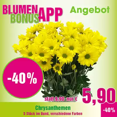 Blumen B&B Flugblatt (gültig bis 28-09)