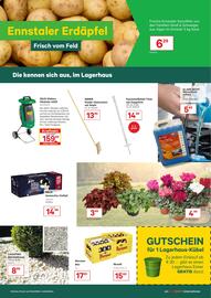 Landmarkt Prospekt Seite 2