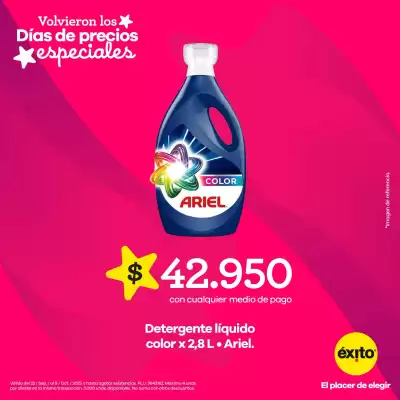 Catálogo Éxito (válido hasta 9-10)