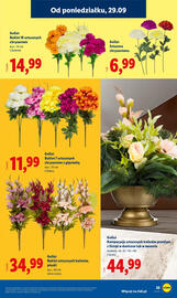 Lidl gazetka tydzień 40 Strona 33
