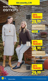 Lidl gazetka tydzień 40 Strona 40