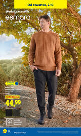 Lidl gazetka tydzień 40 Strona 42